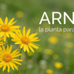 portada arnica